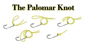 How to Tie Different Fishing Knots for Different Situations in 2023