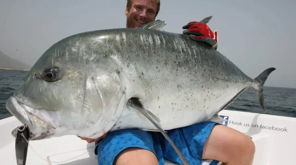 The 4 Most Dangerous Fish You Can Catch