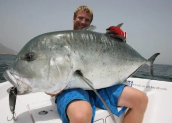 The 4 Most Dangerous Fish You Can Catch